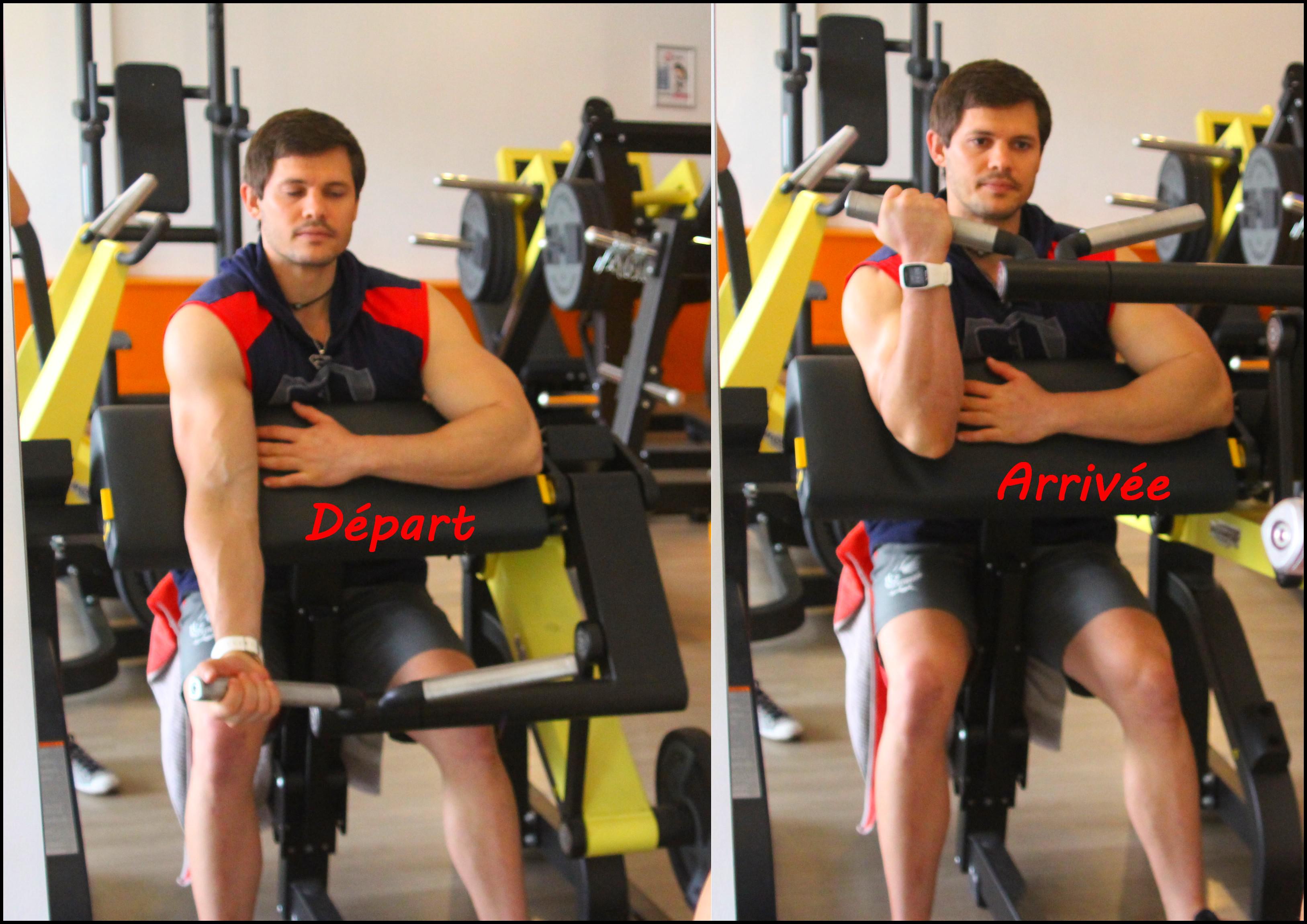 programme biceps triceps superset